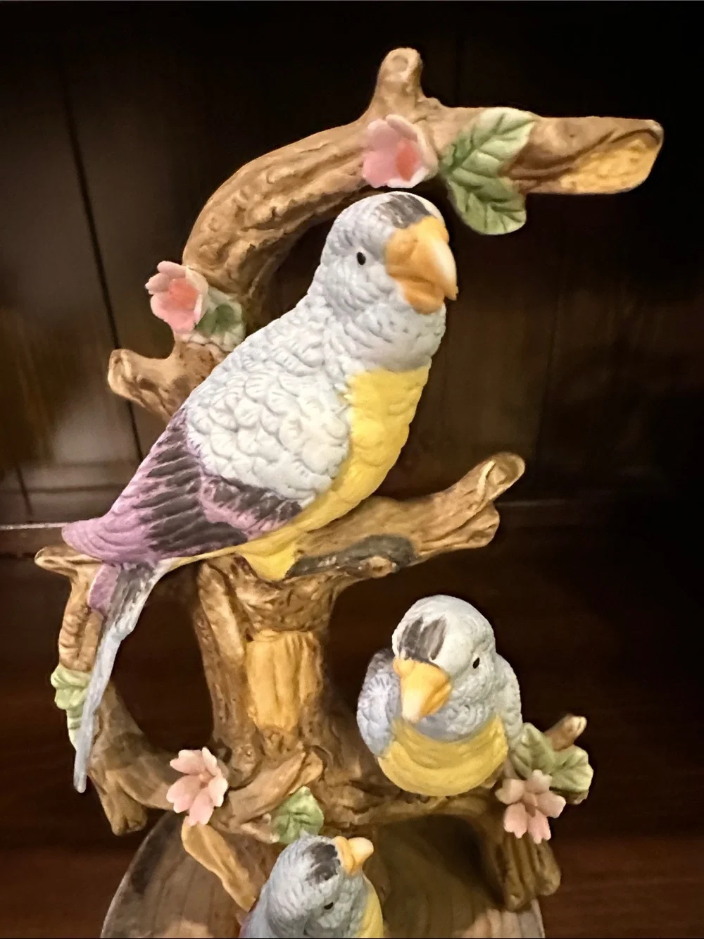 N/A attractive parrot